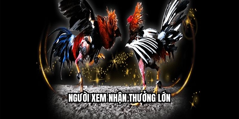 Người xem nhận thưởng lớn
